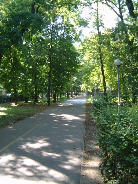 Park Vendeghaz Hotel Kecskemet Bagian luar foto